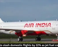 Air India to Cut Domestic Flights by 22% Over Fuel Costs