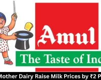 Amul, Mother Dairy Raise Milk Prices by ₹2 Per Litre