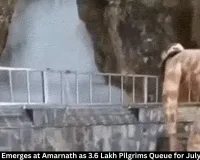  Amarnath Ice Shivling Forms; 3.6 Lakh Register for July Yatra