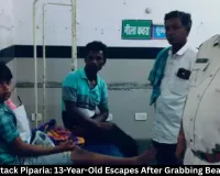  Leopard Attack Piparia: 13-Year-Old Escapes After Grabbing Beast's Throat