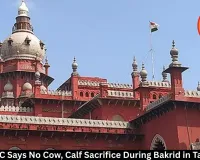 Madras HC Bars Cow Sacrifice During Bakrid in Tamil Nadu