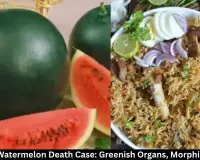 Mumbai Watermelon Death Case: Greenish Organs, Morphine Found