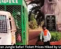 Nandanvan Jungle Safari Ticket Prices Hiked by Up to 50%