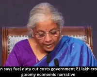 Excise duty cut costs govt ₹1 lakh crore — Sitharaman
