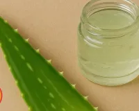Natural Skin Care Hacks for Summer: Aloe Vera & Sandalwood