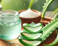  Aloe Vera Internal Use Natural Health Hack Summer Acidity India 2026