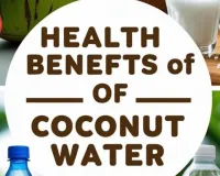 Coconut Water Best Time Summer 2026 | Natural Hydration Hack