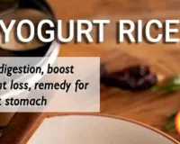 Curd Rice Benefits Summer 2026 | Natural Probiotic Indian Food
