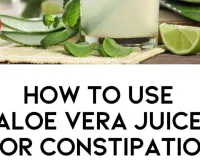 Aloe Vera Benefits for Digestion: Natural Summer Remedy