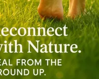  Earthing Benefits in Summer: Walk Barefoot on Grass