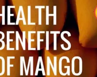  Mango Ginger Benefits: Summer Root for Immunity News