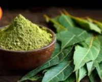 Ajwain Water Benefits: Natural Remedy for Summer Bloating