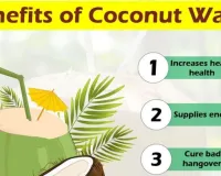 Natural Energy Hacks: Coconut Water and Millets Fight Summer Fatigue