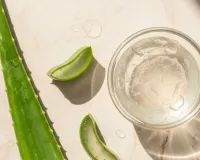 Aloe Vera Morning Routine Protects Summer Skin Naturally