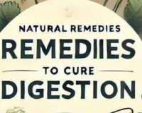 Natural Digestion Hacks For Acidity And Bloating In Summer