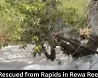 Youth Rescued from Rapids in Rewa Reel Stunt