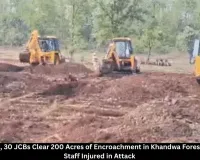 Khandwa: 600 Staff, 30 JCBs Clear 200 Acres Forest Encroachment Day After Attack