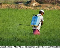 Farmer Consumes Pesticide After Alleged Bribe Demand by Revenue Official in Baloda Bazar