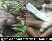 Chhattisgarh elephant attacks kill four in 30 hours