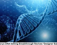 Human Embryo DNA Editing Breakthrough Revives ‘Designer Baby’ Debate