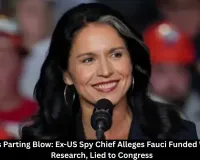 Gabbard Alleges Fauci Lied on Wuhan Lab Funding 