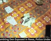 Illegal Gambling Den Caught on Camera in Rewa, Questions Raised Over Police Inaction