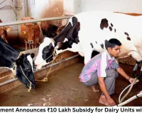 MP Government Announces ₹10 Lakh Subsidy for Dairy Units with 25 Cows