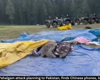 NIA finds Pakistan link in Pahalgam attack probe