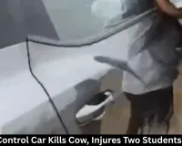  Speeding Car Kills Cow, Injures 2 Students in Rewa