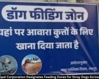Raipur Marks Stray Dog Feeding Zones in All 70 Wards After HC Order