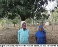 Childless Couple Creates 105-Acre Forest in Rewa, Turns Trees Into Their Family