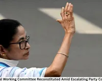 TMC National Working Committee Reconstituted Amid Escalating Party Control Battle