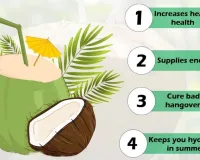 Coconut Water With Tulsi Beats Summer Heat Naturally