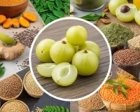 Boost Immunity Naturally: 5 Desi Superfoods for Summer Health