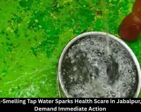 Jabalpur Water Crisis: Black, Foul-Smelling Tap Water Triggers Health Concerns in Rajiv Gandhi Ward