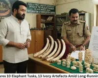 Mohanlal Declares 10 Elephant Tusks, 13 Ivory Artefacts Amid Long-Running Wildlife Case