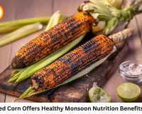 Is Eating Corn During the Monsoon Healthy? Benefits, Risks, and Who Should Be Careful