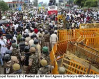MP Govt to Procure 60% Moong Crop After Farmers’ Protest