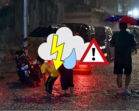 Heavy Rain Alert in 35 MP Districts as Active Monsoon Continues; State Receives 35% of Seasonal Rainfall