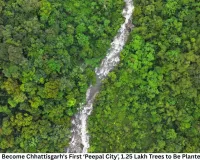 Nava Raipur to Become Chhattisgarh's First ‘Peepal City’, 1.25 Lakh Trees to Be Planted in Five Years