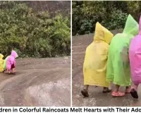 Schoolchildren in Colorful Raincoats Melt Hearts with Their Adorable Walk