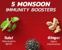Monsoon Immunity Booster: 5 Natural Health Hacks for Rainy Season 2026