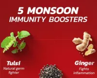 Monsoon Immunity Booster: 5 Natural Health Hacks for Rainy Season 2026