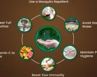 Beat Monsoon Blues 2026: Essential Diet & Lifestyle Hacks