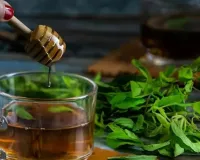 Monsoon Immunity Boost: 5 Herbal Kadha Recipes for Rainy Season 2026