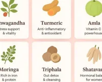 Monsoon Diet Guide: 10 Natural Immunity-Boosting Foods for Rainy Season 2026