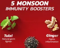 Monsoon Immunity Boosters: 5 Natural Herbs That Work in 2026