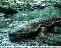 35-Lakh-Year-Old ‘Water Monster’ Discovered in Japan: Three Fossil Bones Reveal New Giant Salamander Species