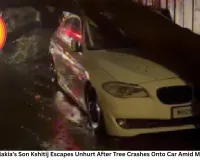 Urvashi Dholakia’s Son Kshitij Escapes Unhurt After Tree Crashes Onto Car Amid Mumbai Rains