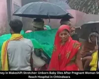 Chhindwara Pregnant Woman Carried 8 Km in Stretcher, Unborn Baby Dies